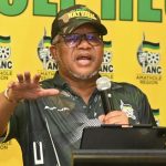 Fikile-Mbalula.jpg