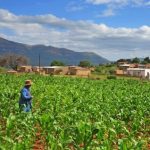 Farm-agriculture-768x432.jpg